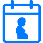 Pregnancy Due Date Calculator